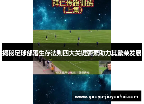 揭秘足球部落生存法则四大关键要素助力其繁荣发展 揭秘足球部落生存法则四大关键要素助力其繁荣发展