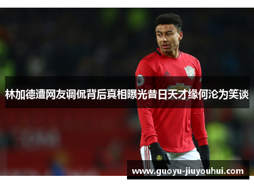 林加德遭网友调侃背后真相曝光昔日天才缘何沦为笑谈 林加德遭网友调侃背后真相曝光昔日天才缘何沦为笑谈