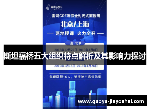 斯坦福桥五大组织特点解析及其影响力探讨