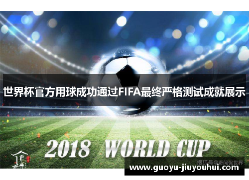 世界杯官方用球成功通过FIFA最终严格测试成就展示